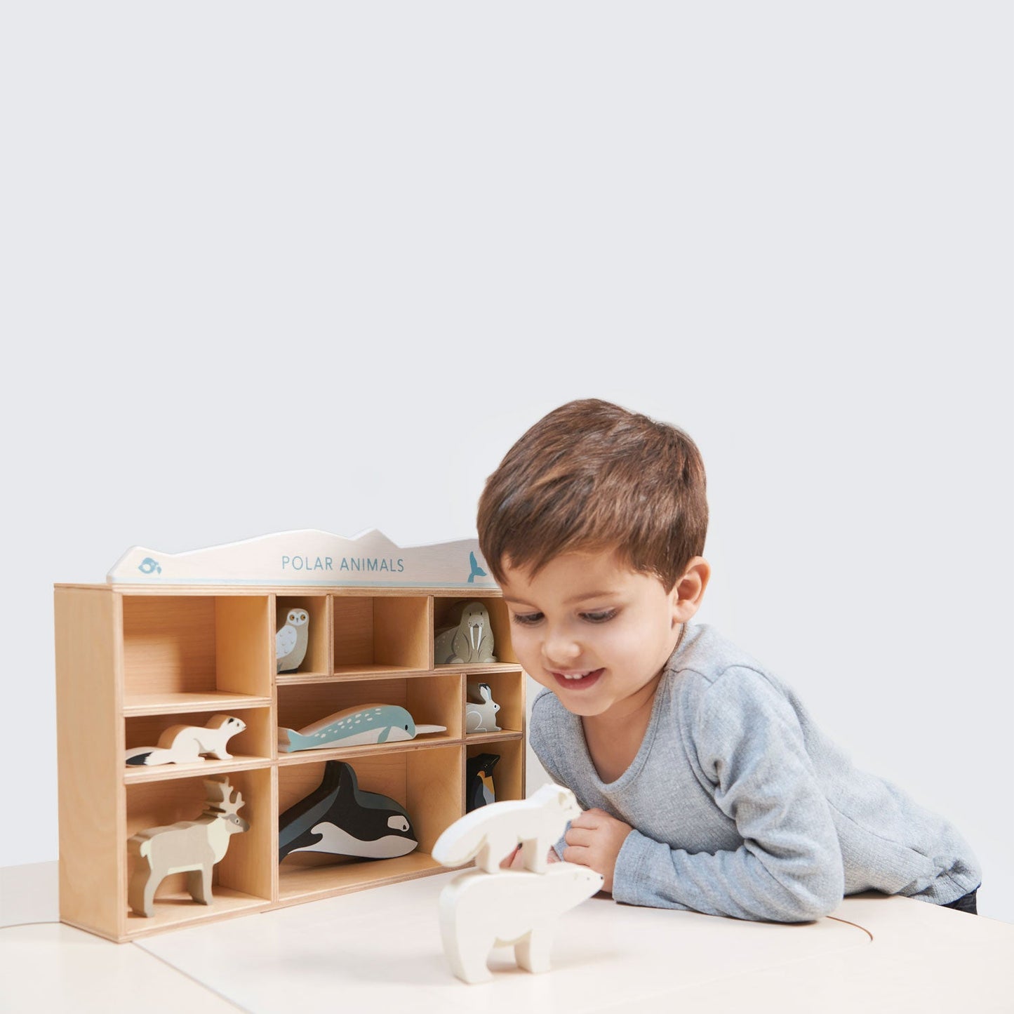 Polar Animals Shelf Set