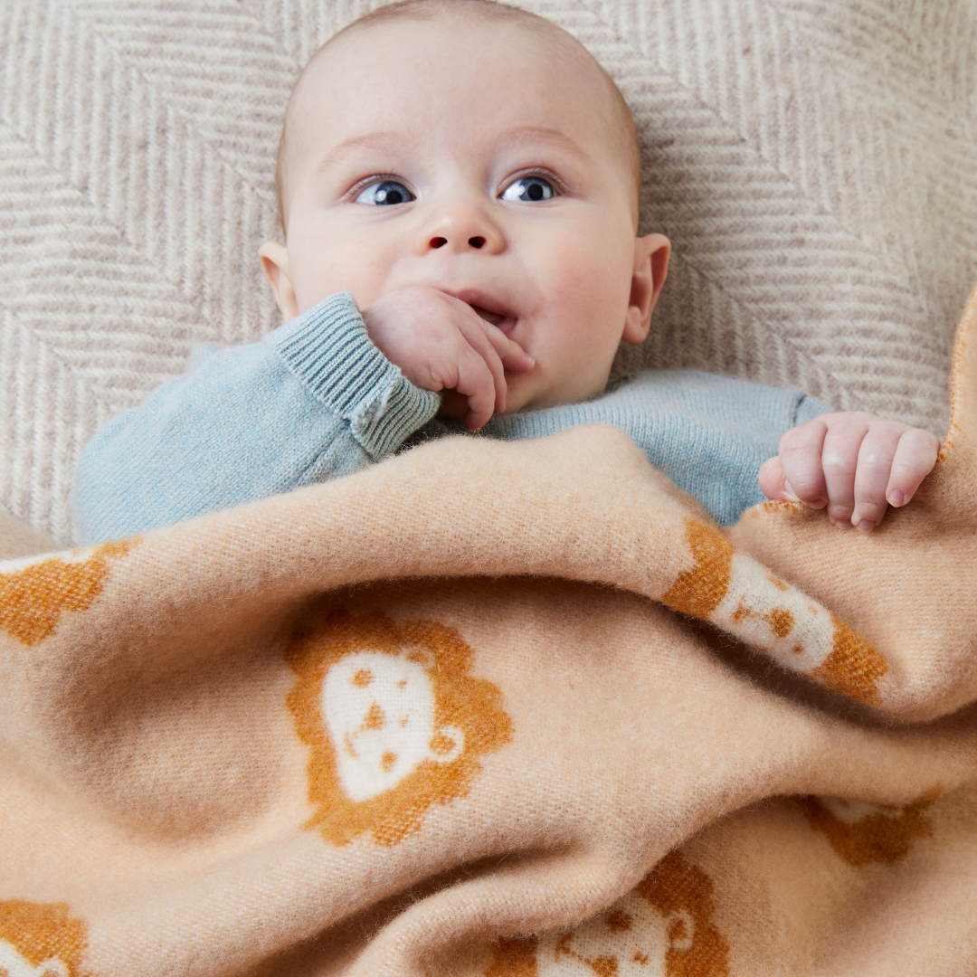 Merino Wool Lion Baby Blanket